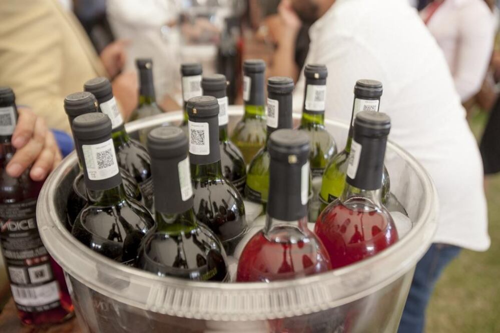 Los Viñedos La Redonda se vistieron de fiesta este fin de semana, para recibir a más de 13 mil personas en el marco de la IX edición del Festival 100 Vinos Mexicanos,