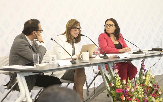 Licitan 3 mmdp en un año para obras: Romy Rojas