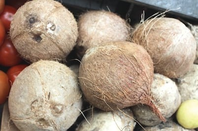 Utilizarán coco para hacer colchones