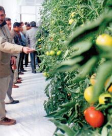 Esperan elevar ventas del agro