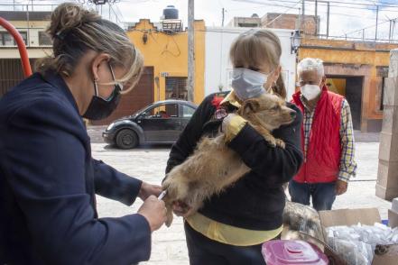 ¡Qué no se te pase! Hoy concluye la campaña antirrábica 
