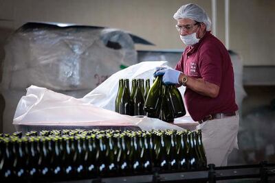 Secretarías se suman a protección vitivinícola 