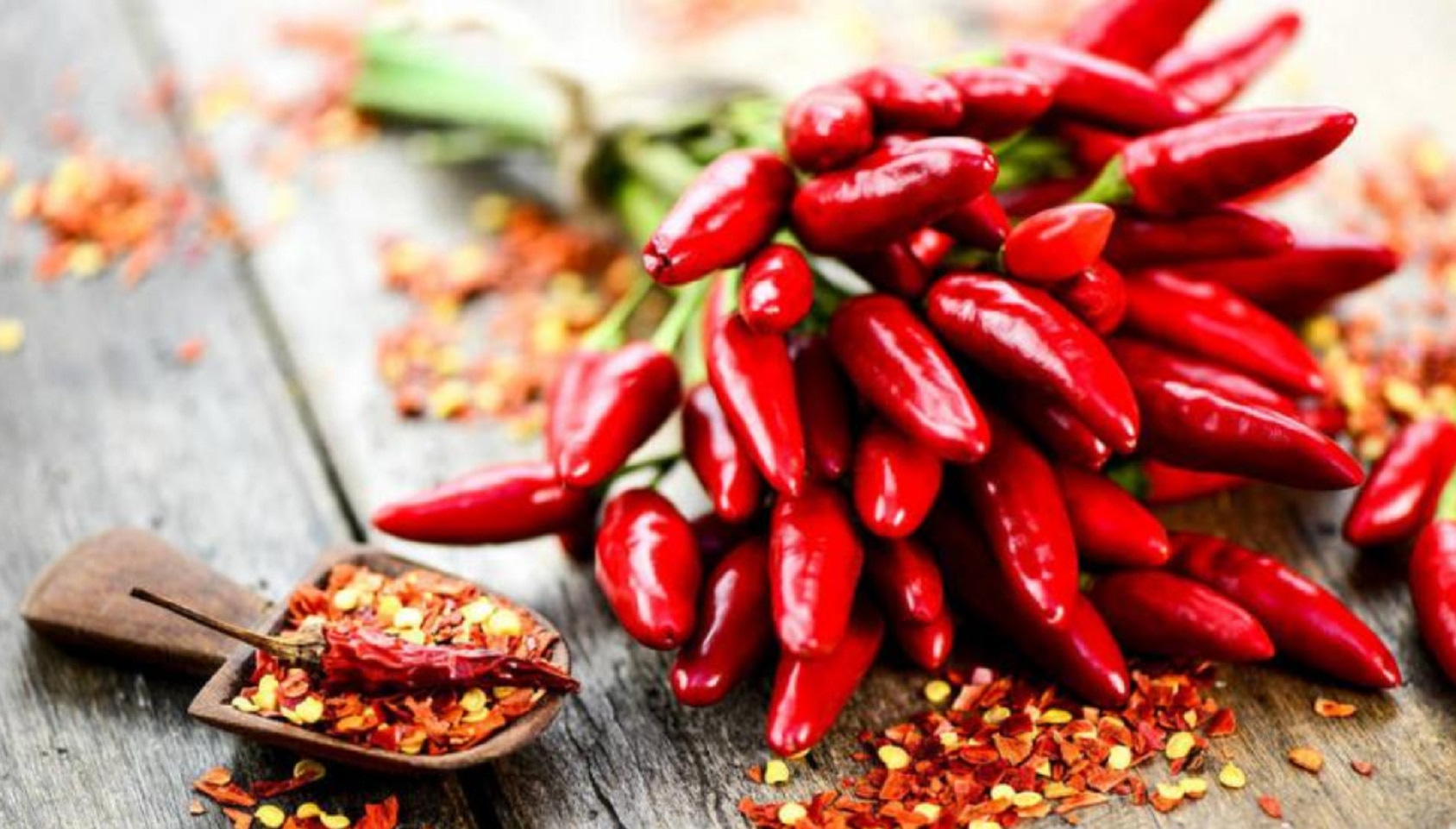 Sustancia del chile puede ayudar a tratar el cáncer de pulmón