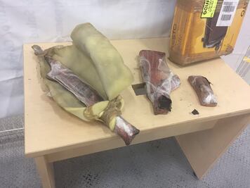 Encuentran un arma de fuego en el Aeropuerto Intercontinental de Querétaro