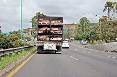 Sube venta de cerdo por fiestas patrias