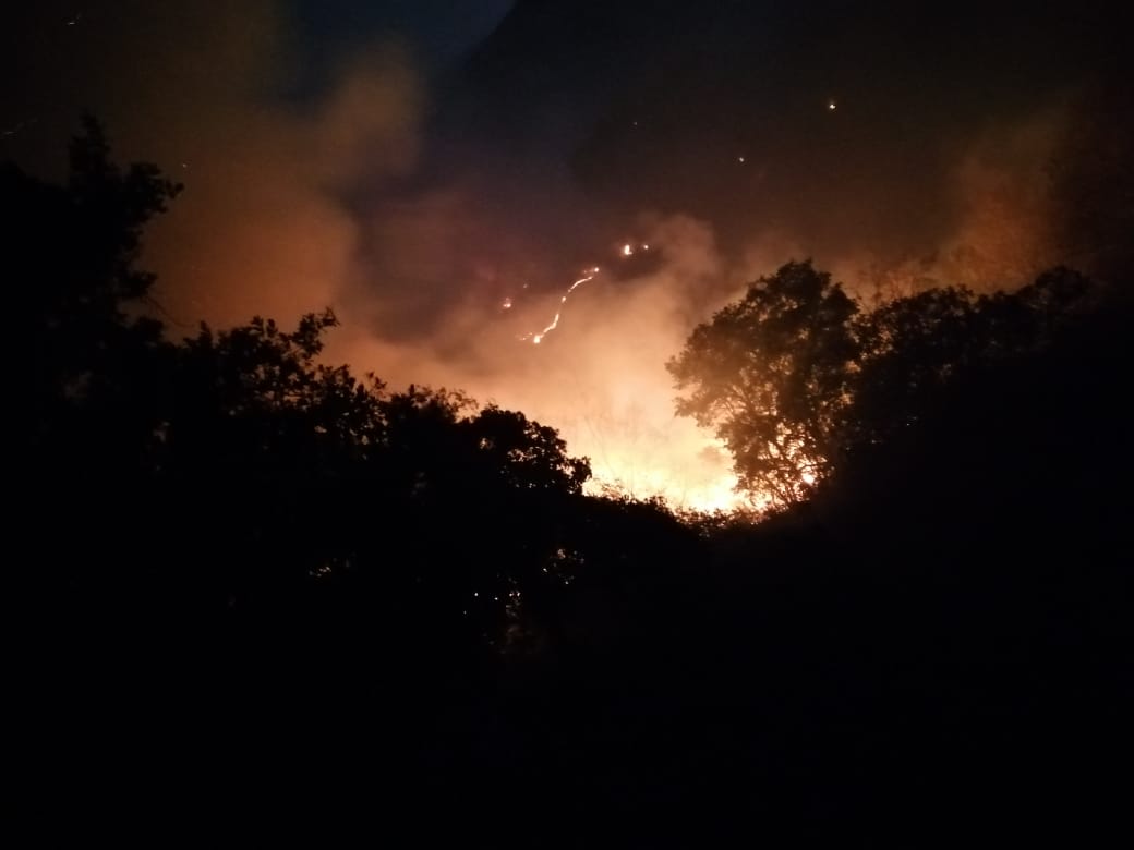 Incendio forestal consume 100 hectáreas, en Pinal de Amoles