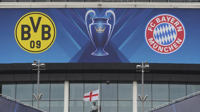 Una vaca predice la victoria del Bayern