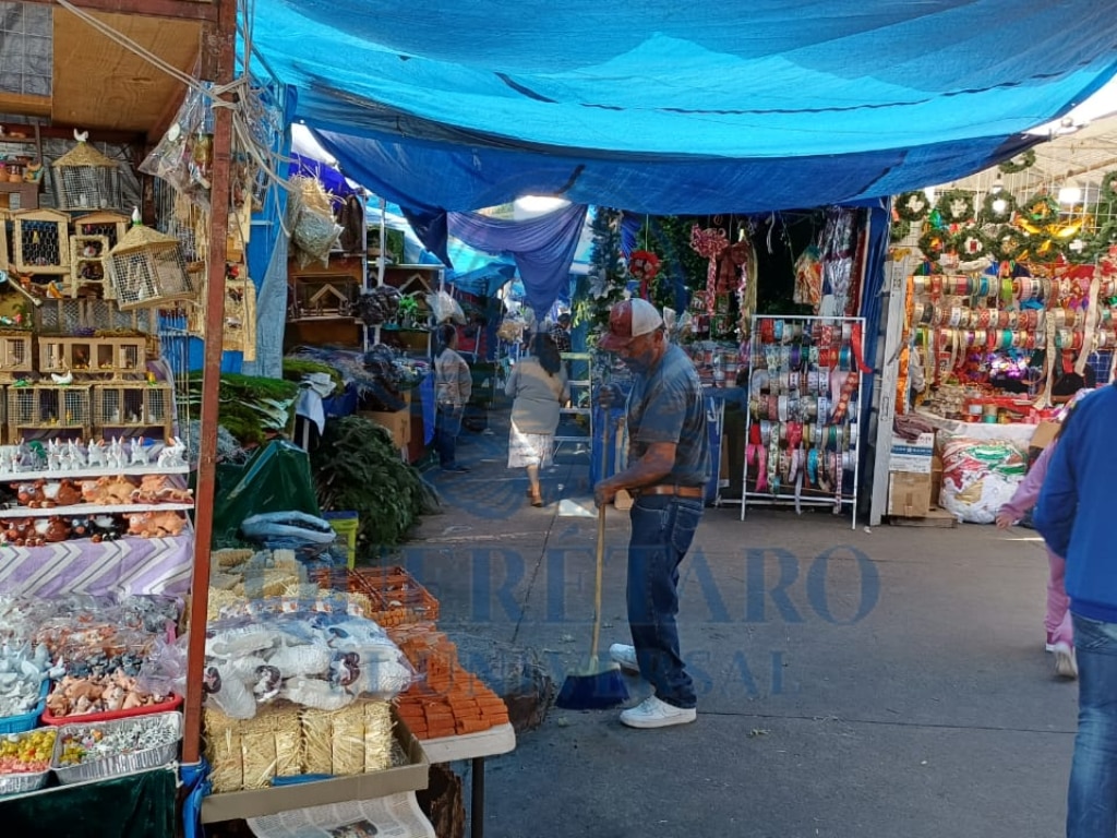 FOTO. DOMINGO VALDEZ