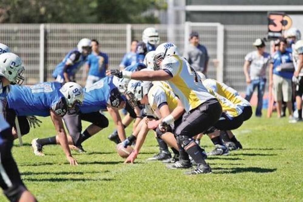Gatos UAQ, presentes en rugby