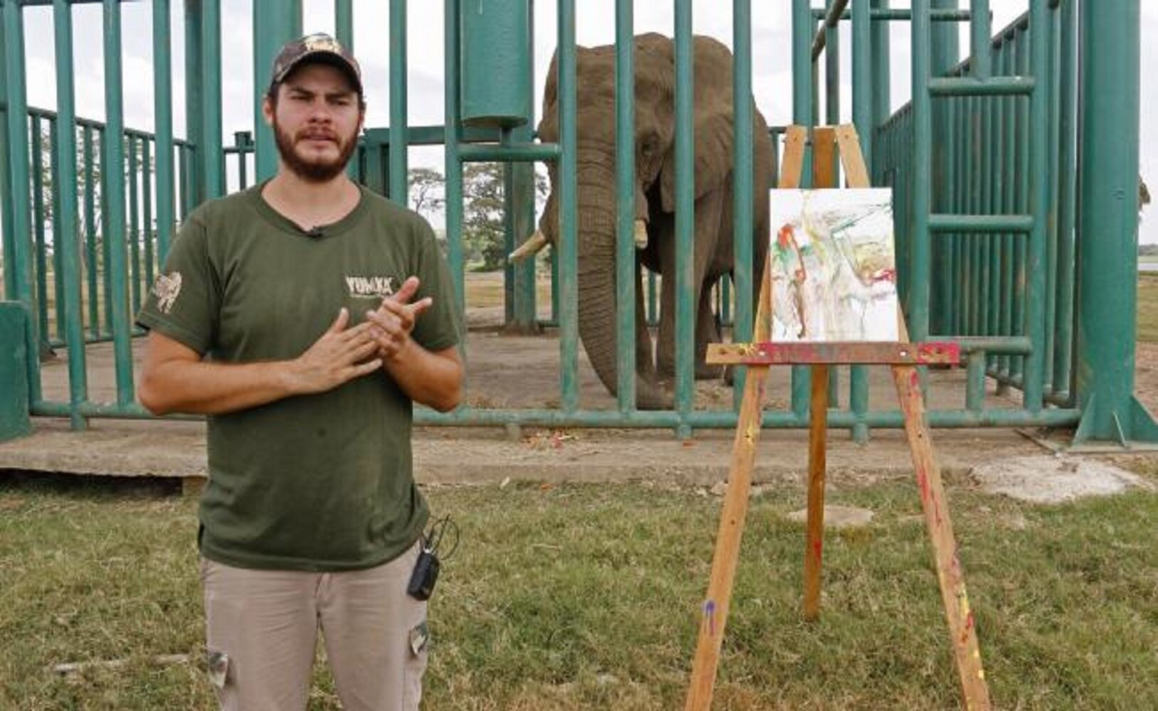 Tombo, el elefante del zoológico de Tabasco que pinta y busca novia