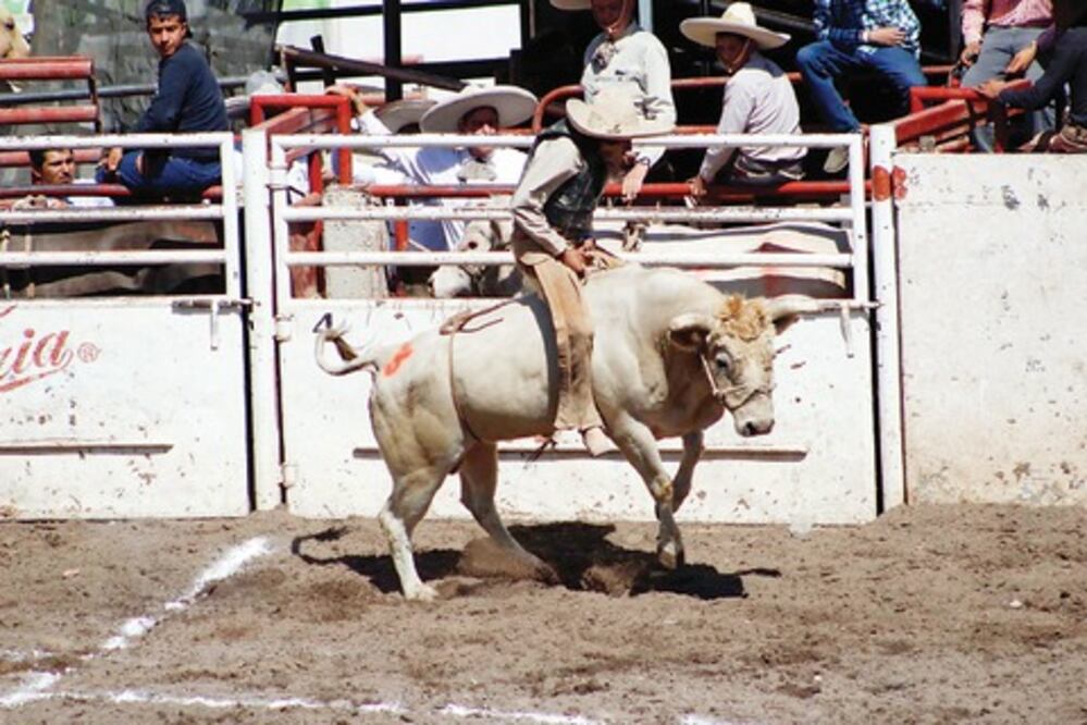 “Constituyentes de 1917”, un éxito