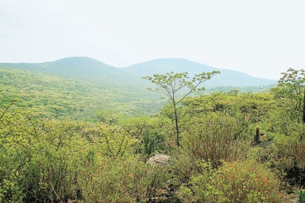 Es área protegida un tercio