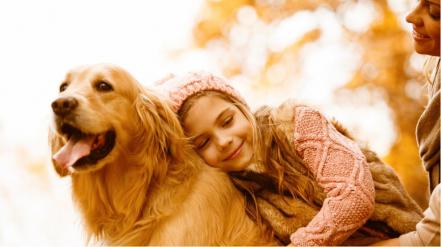 Cómo el rostro de los perros evolucionó para enternecer a los seres humanos