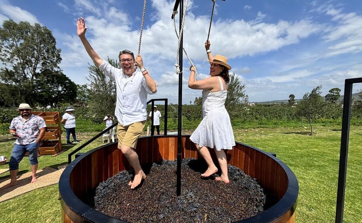 Los viñedos más populares de Querétaro para visitar durante la vendimia 2025