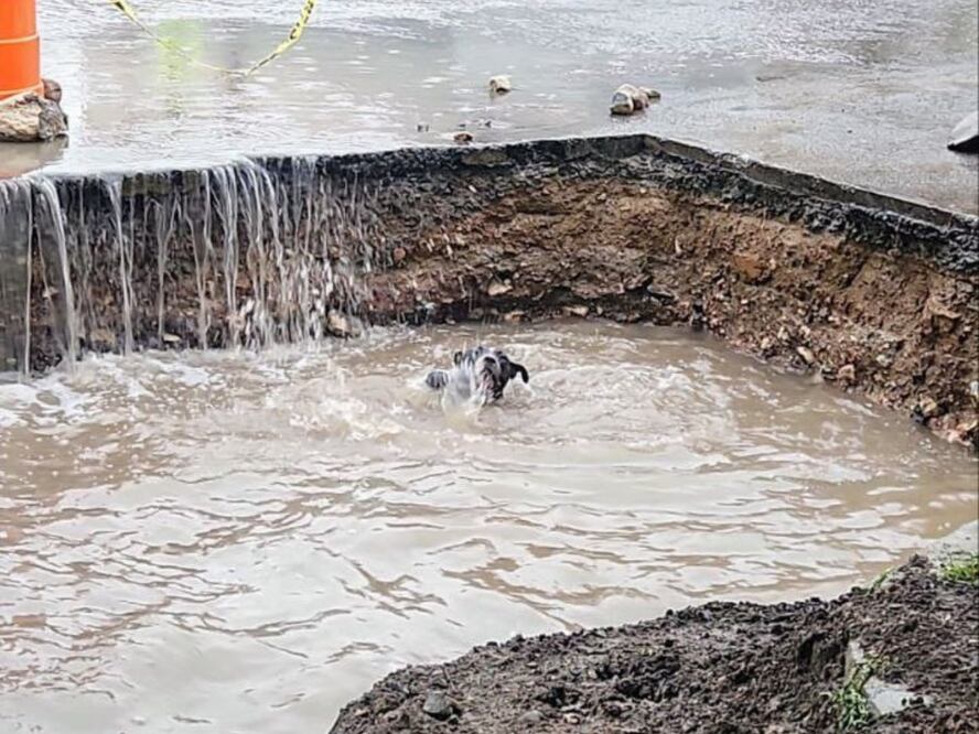 FOTO. FACEBOOK PROTECCIÓN CIVIL DEL MUNICIPIO DE QUERÉTARO