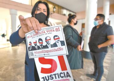 Opinión. Consulta: Inútil y costosa