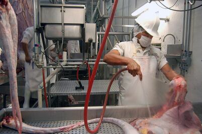 Invertirán en adecuaciones del rastro capitalino: Correa