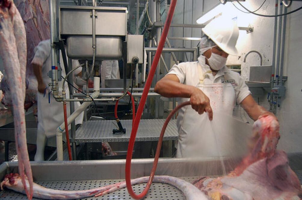 Foto: Archivo. EL UNIVERSAL