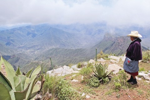 Inicié gestión con deuda: edil