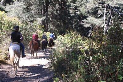 Pobladores operarán Pinal del Zamorano