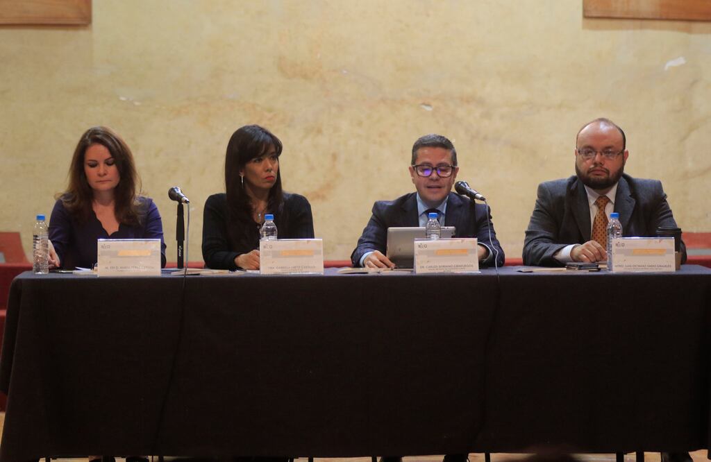 Según la magistrada Nieto Castillo, el presupuesto se incrementó 7.4 millones de pesos respecto al año anterior que fue de 22.6 mdp y se debe a la atención que brindarían en caso de querellas en elecciones. (ARCHIVO. EL UNIVERSAL)