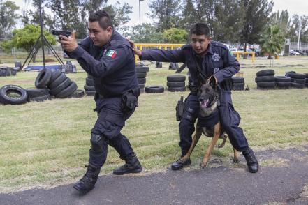 Los perros policías de la SSC, guardianes del orden