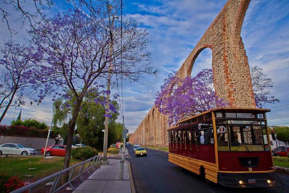 Foto: Archivo. El Universal