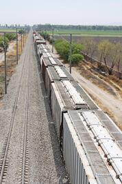 Respaldan beneficios del tren bala