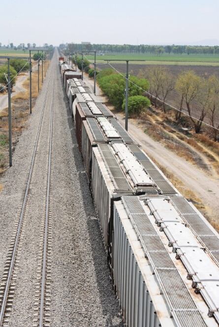 Respaldan beneficios del tren bala