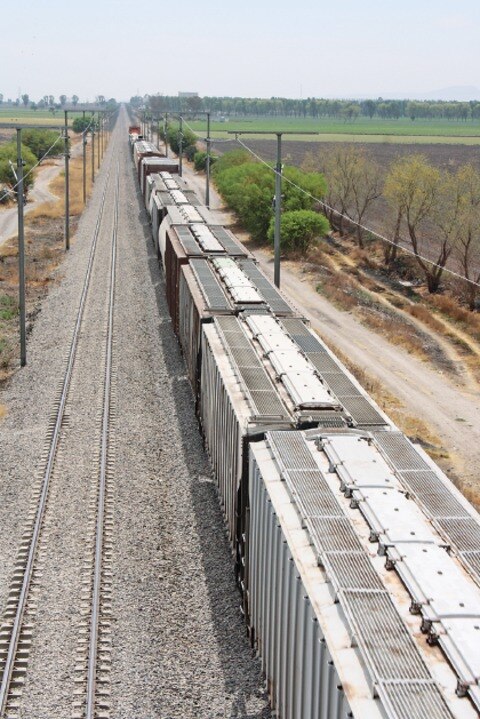 Respaldan beneficios del tren bala