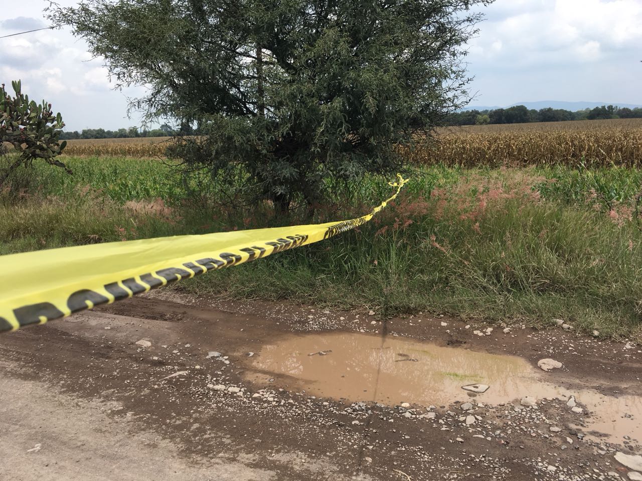 Hallan dos cuerpos sin vida en San Juan del Río