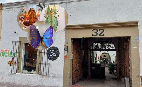Museo de Bichos e Insectos de Querétaro: Costo de entrada y horarios