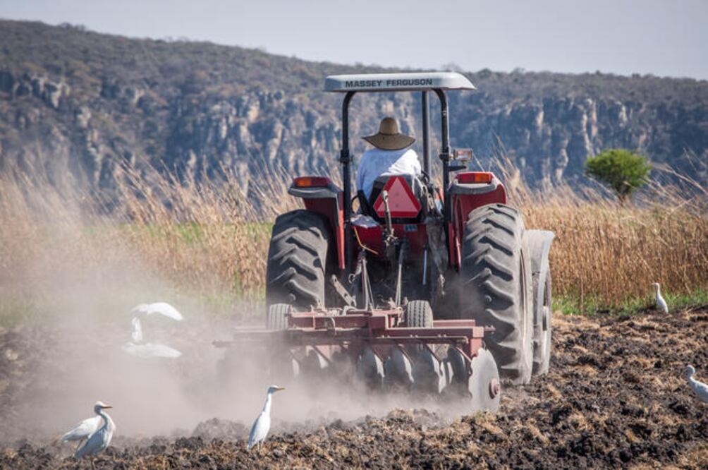 Don Ramiro se dedica a sembrar maíz y frijol. Tiene un cliente que le compra todo el lote. La agricultura y ganadería son la principales actividades de la comunidad. (Fotos: RICARDO LUGO)