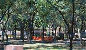 Ciudad Qro activa “Botón Verde” para reportar problemas ambientales en Querétaro