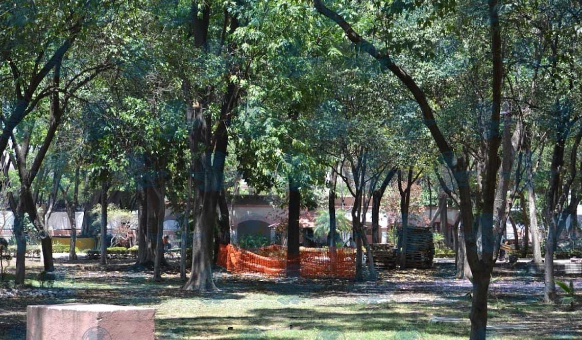Foto: Ángel González