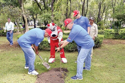 Los Diablos son reservados con el repunte hasta alcanzar “playoffs”
