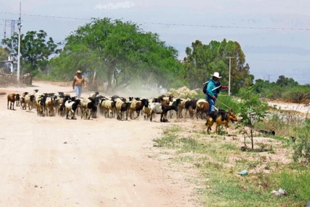 Prohiben construir en zona protegida  