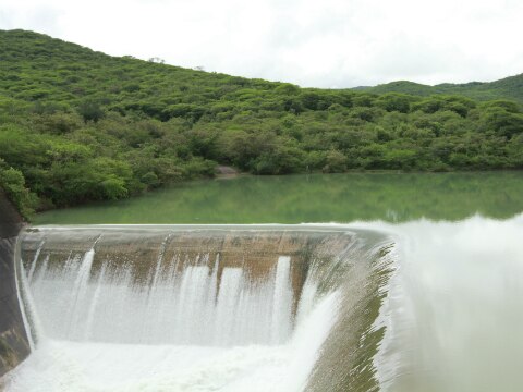 Presa de Jalpan al máximo, advierten
