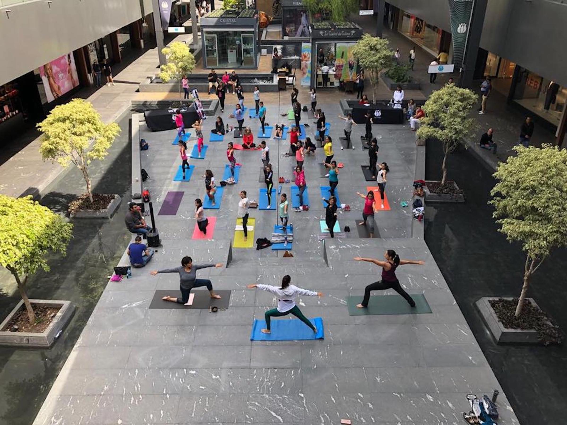 Viven momento de paz y meditación