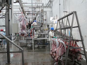 Corregidora contempla construir nuevo rastro