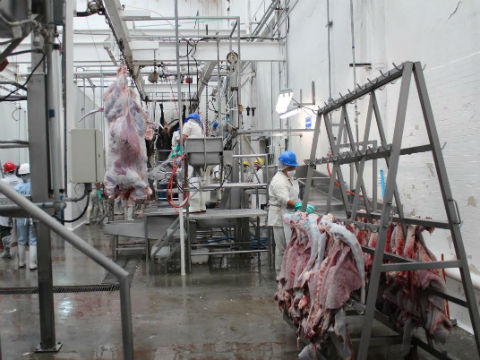 Corregidora contempla construir nuevo rastro