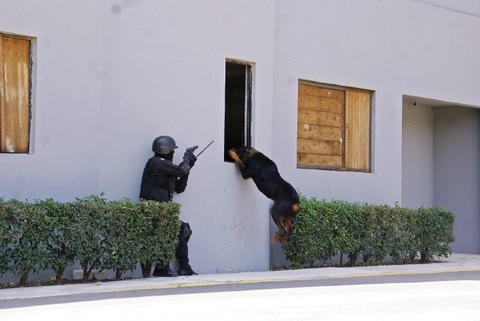 Ocupa Querétaro lugar 28  en comisión de plagios: PGJE 