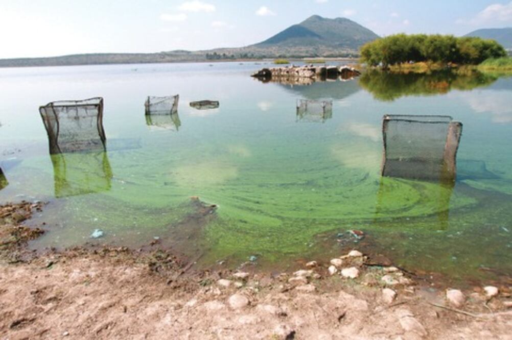 Piden indagar daños a represa