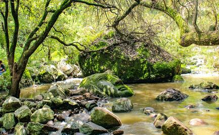 Las misteriosas cabezas gigantes de Querétaro: Dónde están y cómo llegar
