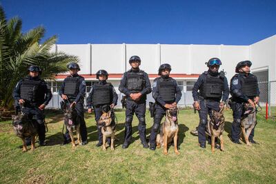 Binomios caninos vigilan los penales