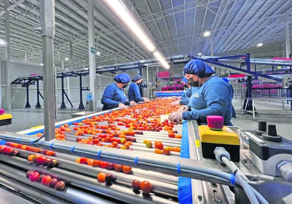 Industria estatal requiere entorno favorable para competitividad y desarrollo: Canacintra