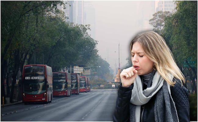 Las medidas clave para proteger tu salud ante mala calidad del aire