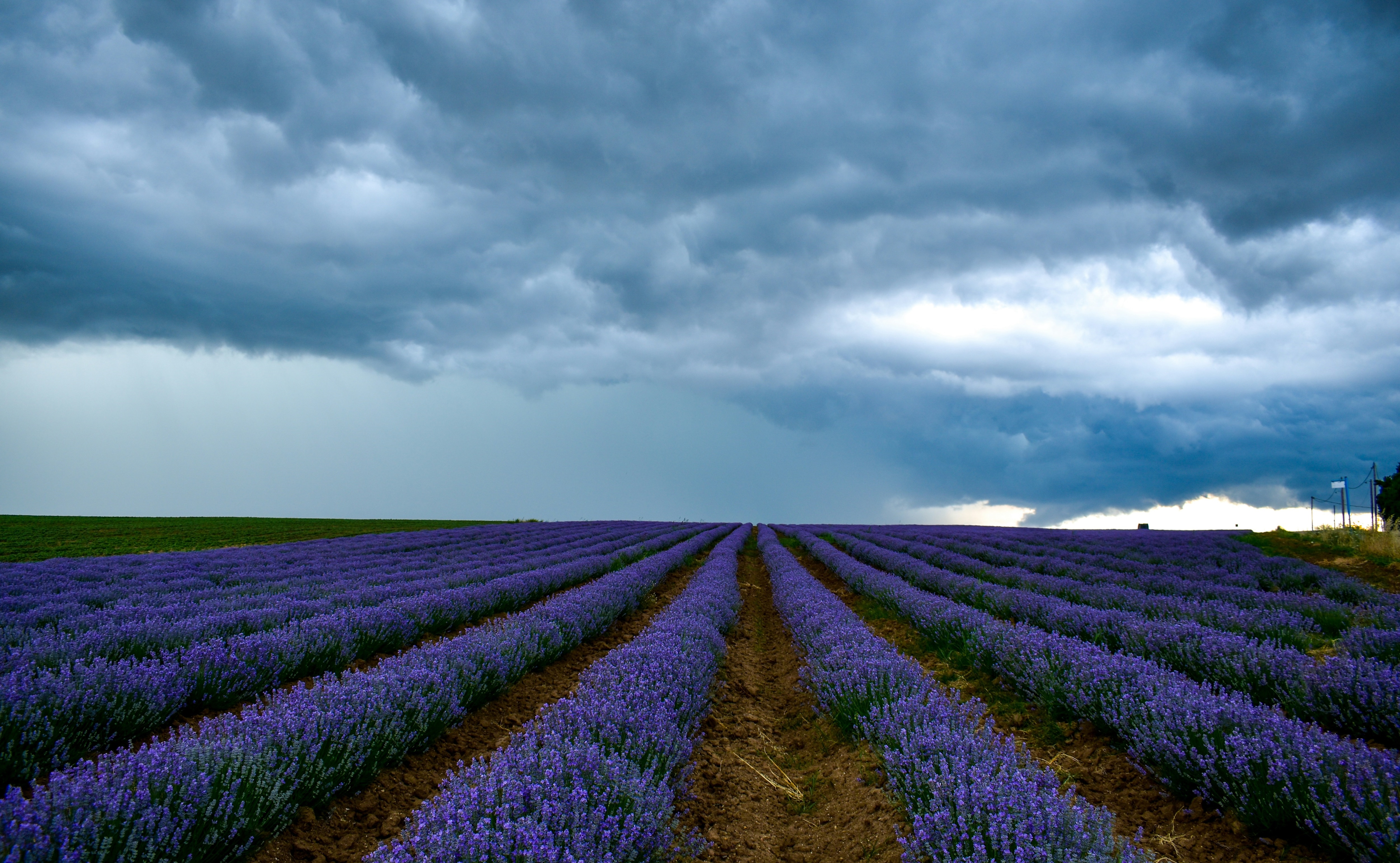 Descibre Granja Lavyn; un destino para el bienestar y la conexión con la naturaleza. Foto: Especial