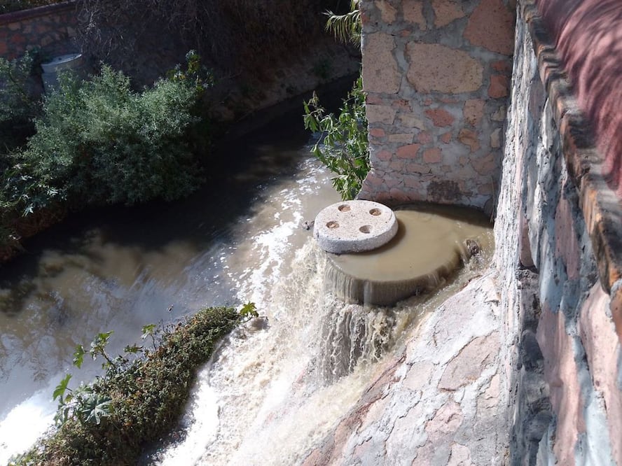 Foto: Domingo Valdez