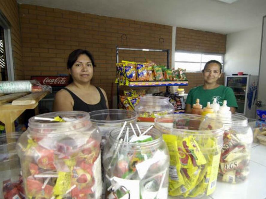 Destinan 4 mdp a microcréditos